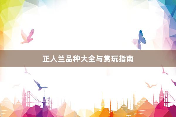 正人兰品种大全与赏玩指南