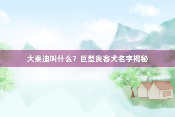 大泰迪叫什么？巨型贵客犬名字揭秘