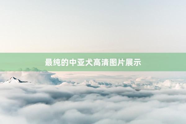 最纯的中亚犬高清图片展示